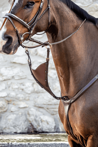 Dyón Kort Martingal Bib Soft Dyon Collection