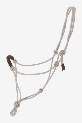 Dyón La Cence Repgrimma