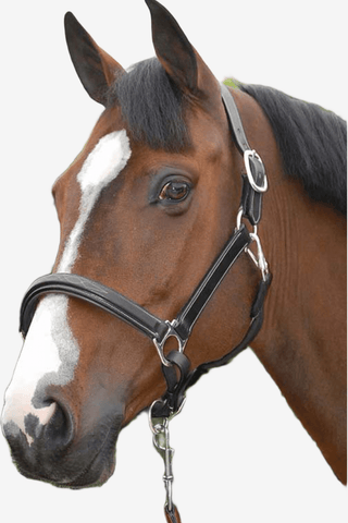 Dyón Lädergrimma Working