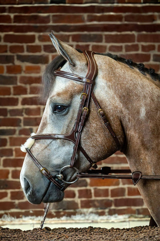 Dyón Mexikansk Nosgrimma Dyon Collection