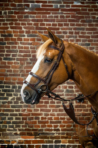 Dyón Träns Double Nosgrimma Dyon Collection