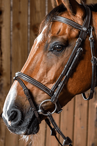 Dyón Träns Kombinerad Nosgrimma Söm Working Collection