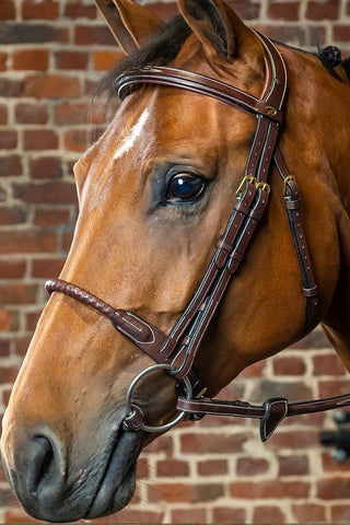 Dyón Träns Läderklädd Repnosgrimma