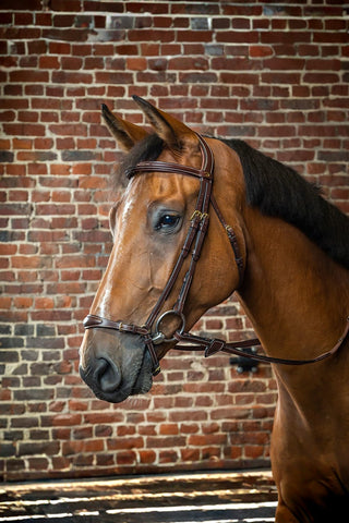 Dyón Träns Remontnosgrimma Dyon Collection