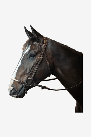 Dyón Träns Remontnosgrimma Rep Dyon Collection