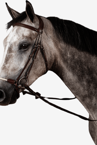 Dyón Träns Remontnosgrimma Rep New English