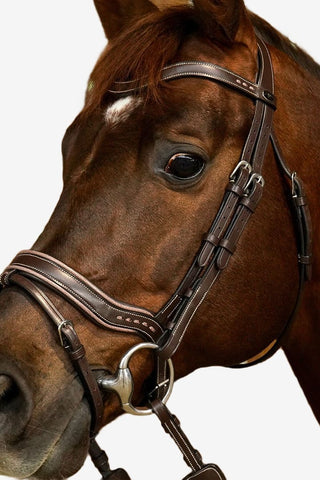 Dyón Träns Working Fit Working Collection