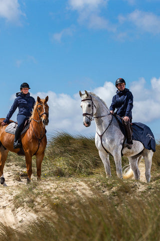 3-in-1 Exercise Sheet