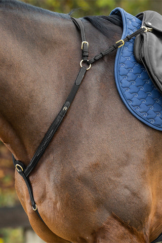 Brustgurt mit Brücke Dyon Collection Braun