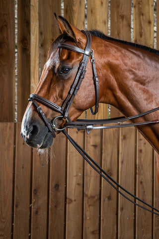 Leder Schlaufzügel Working Collection Braun