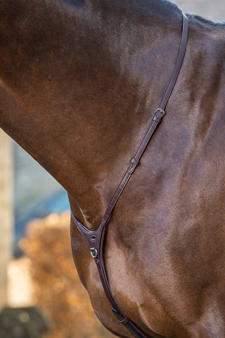 Collier de Cou pour Martingale New English Noir