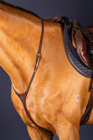 Halsrem til Martingal New English Sort