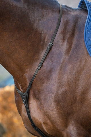 Collier de Cou pour Martingale New English Noir