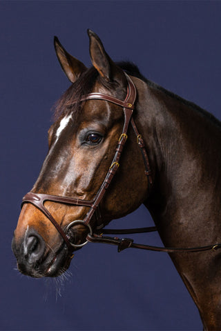 Hoofdstel X-fit New English Bruin