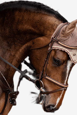 Equestrian Stockholm Huva