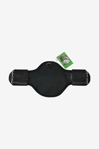 Eric Le Tixerant Dressyrgjord