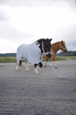 Eskadron Schabrak Metallic Shetland