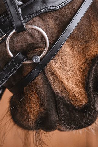 Mary Titan Bridoon Lose Ringe