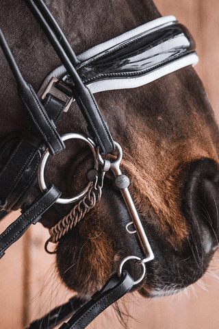 Mary Titan Bridoon Lose Ringe