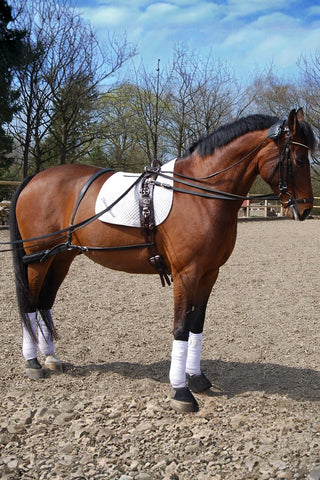 Globus Tömkörningsgjord DeLux