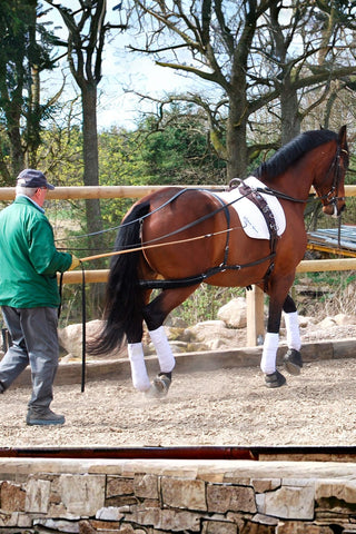 Globus Tömkörningsgjord DeLux