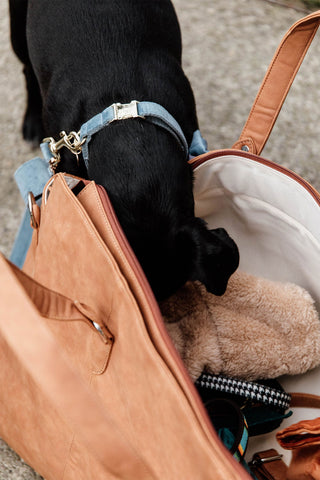 Sac de voyage Chestnut