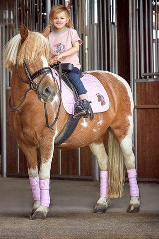 Horse Guard Fleecelindor 4-pack