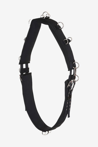 Horse Guard Longergjord