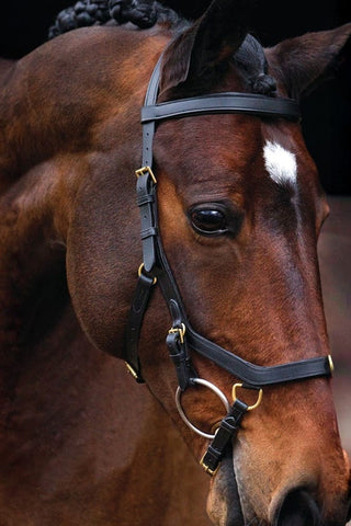 Horseware Rambo Micklem Träns Multi