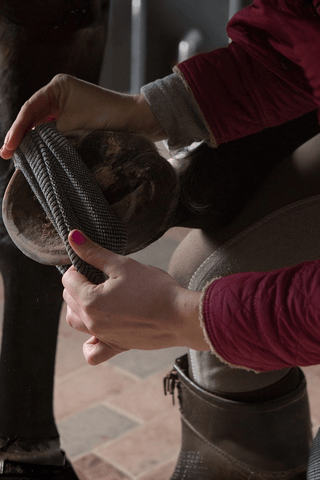 Incrediwear Equine Incrediwear Circulation Häststrumpor