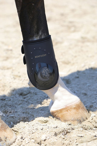 Protège-postérieurs élastiques