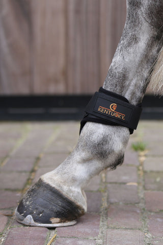 Ochraniacze na tylne nogi dla młodych koni