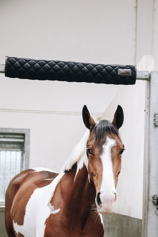 Protection de box Bordeaux