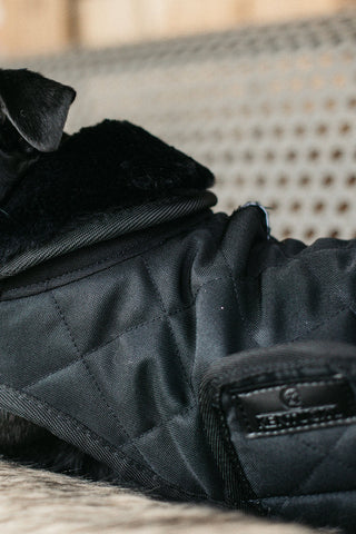 Couverture pour Chien Originale 160g