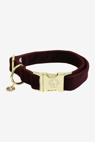 Kentucky Dogwear Hundhalsband Corduroy