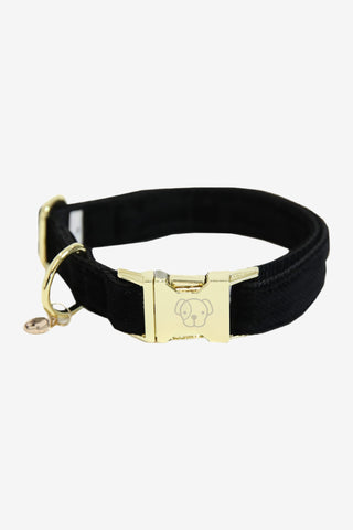 Kentucky Dogwear Hundhalsband Corduroy