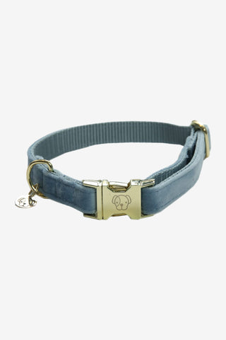 Kentucky Dogwear Hundhalsband Velvet