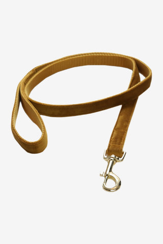 Kentucky Dogwear Hundkoppel Velvet