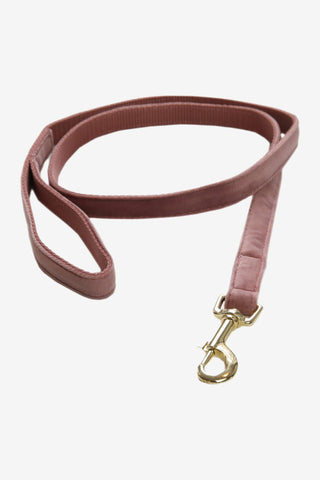 Kentucky Dogwear Hundkoppel Velvet