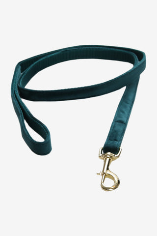 Kentucky Dogwear Hundkoppel Velvet