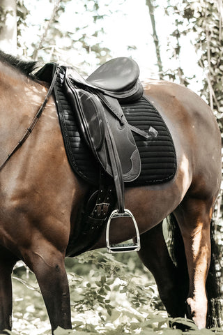 Pearls Dressyrschabrak Brun