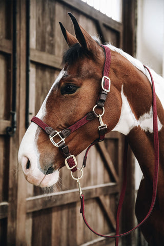 Pleciony Skórzany Uwiąz Oliwkowy