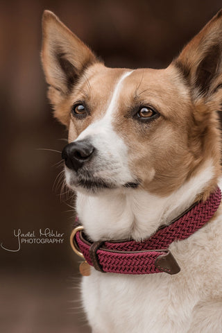 Collier en nylon tressé