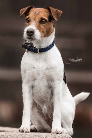 Collier en nylon tressé