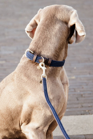 Collier en nylon tressé