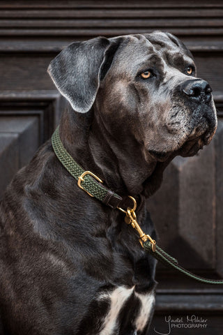 Collier en nylon tressé