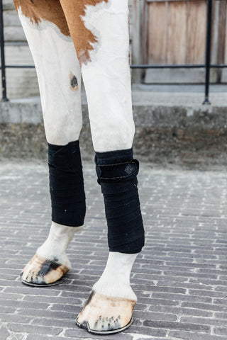 Bandages Polar Fleece Velvet Pearls Beige