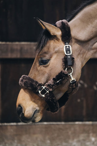 Kantar z Owczym Futrem Brązowy