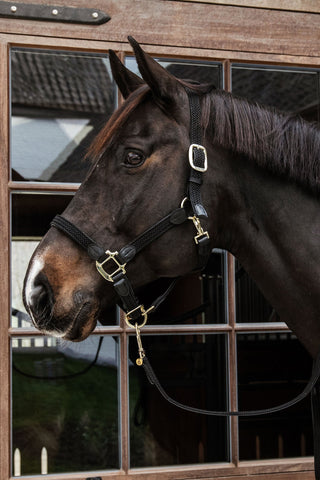 Geflochtenes Nylon-Lederhalfter Schwarz