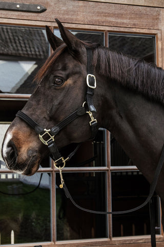 Flettet Lædergrimeskaft Lyseblå